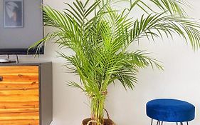 Apartament Monstera